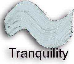 Retique It RFP-DSKit-Tranquility by Renaissance chalk finish paint Deluxe Starter Kit 21
