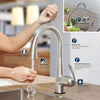 GROHE LadyLux3 Café Single-Handle Pull-Down Kitchen Faucet, Super Steel Infinity