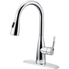 BOHARERS Kitchen Faucet with Sprayer - Single Handle pull down Sprayer Stainless Steel Spot Resist, Polished Chrome