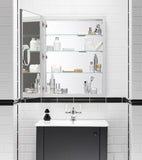 KOHLER K-99007-NA Verdera 24-Inch By 30-Inch Slow-Close Medicine Cabinet With Magnifying Mirror